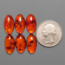 Baltic Red Amber Cabochons Lot