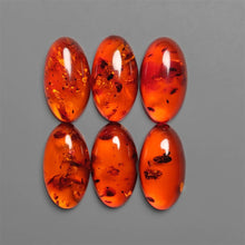 Baltic Red Amber Cabochons Lot