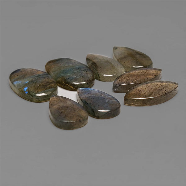 AAA Blue Labradorite Cabochons Pair Lot
