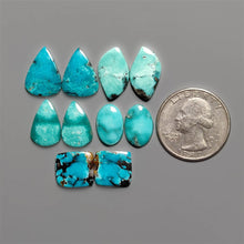 Hubei Turquoise Pair