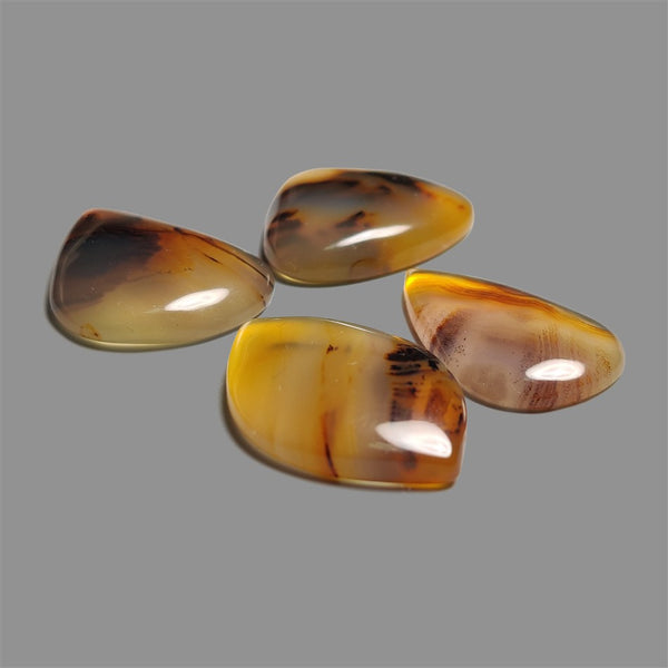Montana Agate Cabochons Lot