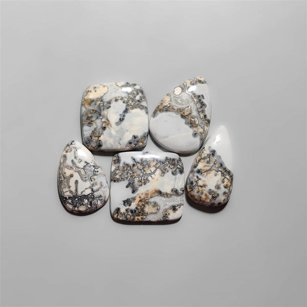 Maligano Jasper Cabochons Lot-2414