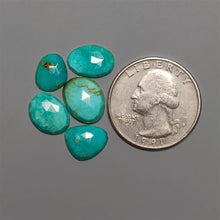Rose Cut Arizona Turquoise Lot