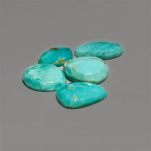 Rose Cut Arizona Turquoise Lot
