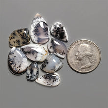 Dendritic Agate Cabochons Lot