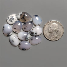 Dendritic Agate Cabochons Lot
