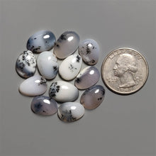 Dendritic Agate Cabochons Lot
