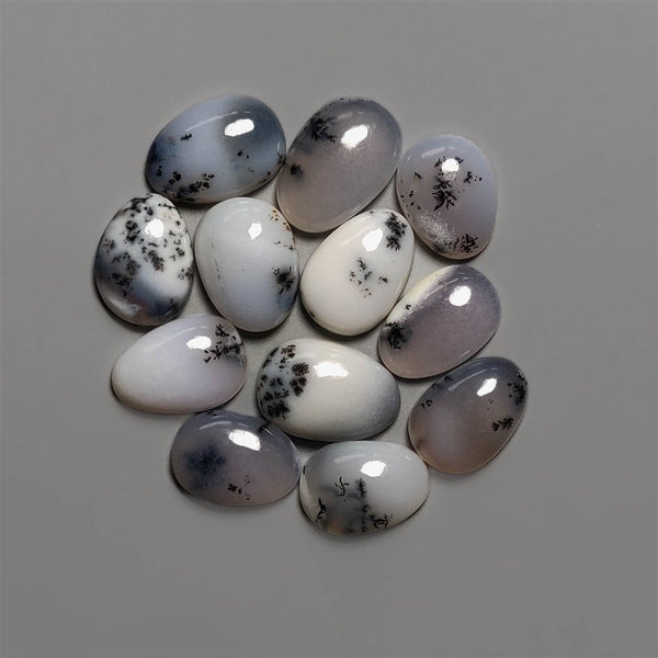 Dendritic Agate Cabochons Lot