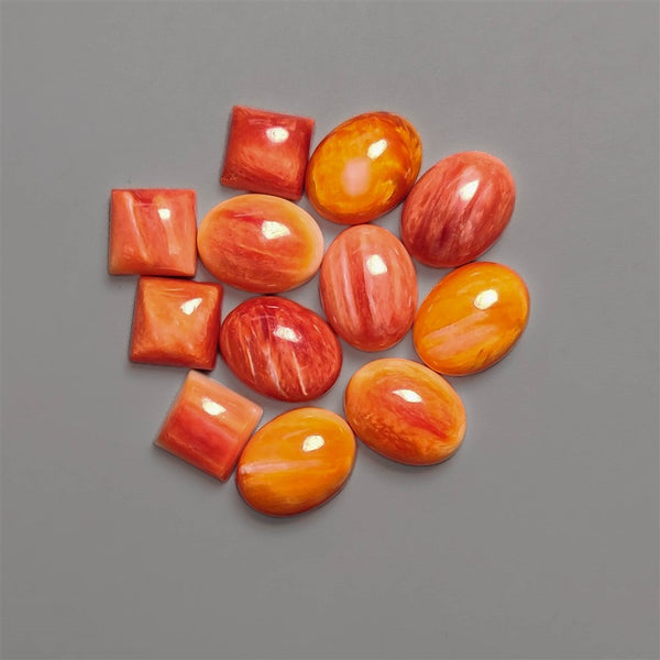 Spiny Oyster Shell Cabochons Lot