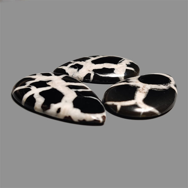Black Septarian Cabochons Lot