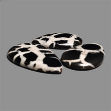 Black Septarian Cabochons Lot