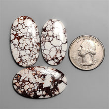 Wild Horse Magnesites Lot