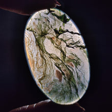 Moss Agate Cabochon