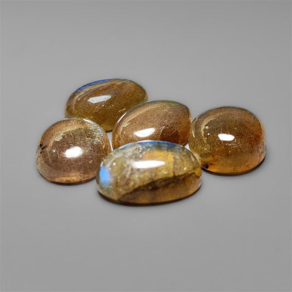 Labradorite Cabochons Lot