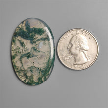 Moss Agate Cabochon