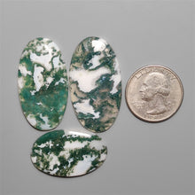 Moss Agate Cabochons Lot