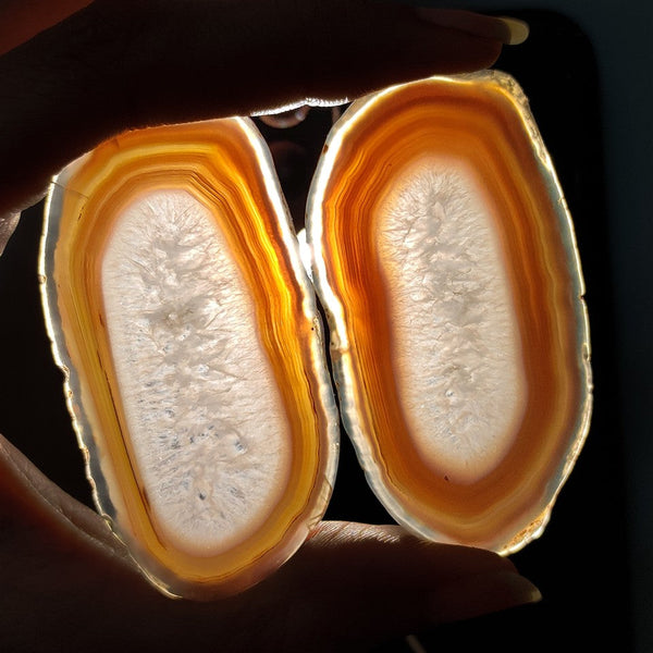 Botswana Agate Slice Pair