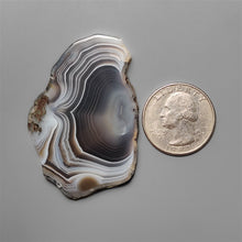Botswana Agate Slice 
