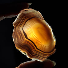 Botswana Agate Slice