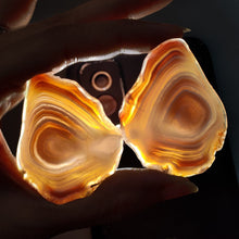 Botswana Agate Slice Pair