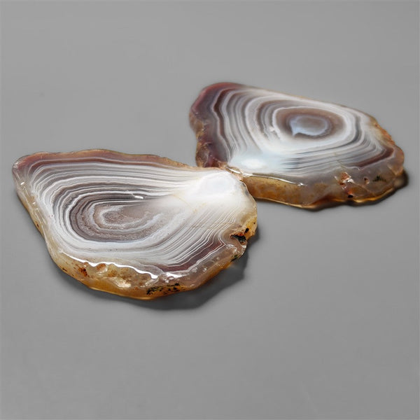 Botswana Agate Slice Pair
