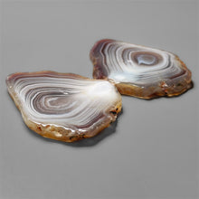 Botswana Agate Slice Pair