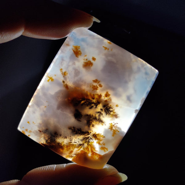 Russian Dendritic Agate
