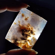 Russian Dendritic Agate