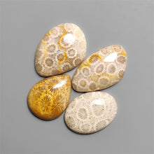 Fossil Coral Cabochons Lot