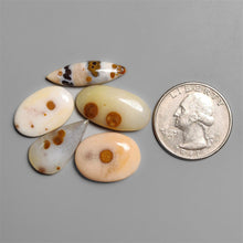 Polka Dot Agate Cabochons Lot