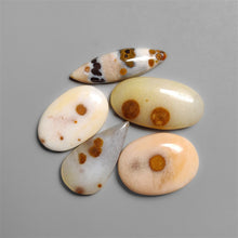 Polka Dot Agate Cabochons Lot