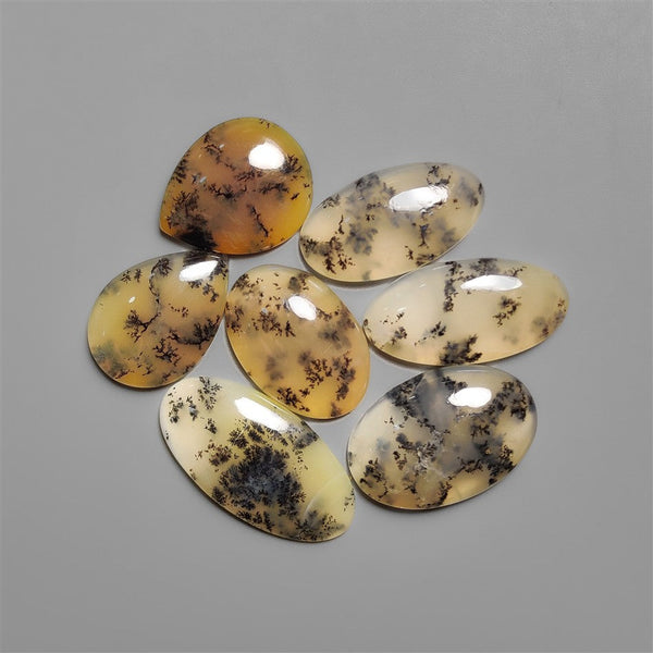 Scenic Dendritic Agate Cabochons Lot
