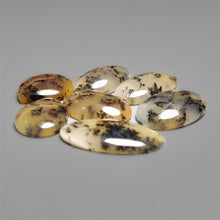 Scenic Dendritic Agate Cabochons Lot