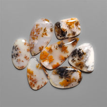 Russian Denritic Agate Cabochons Lot