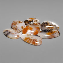Russian Denritic Agate Cabochons Lot