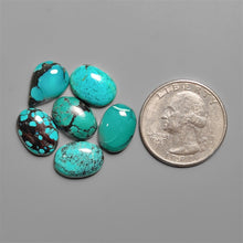 Hubei Turquoise Cabochons Lot