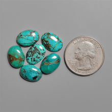 Hubei Turquoise Cabochons Lot