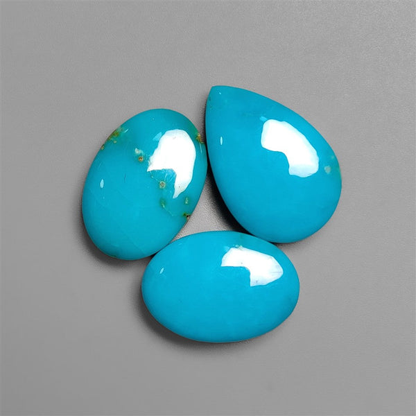 Fox Mines Turquoise Lot