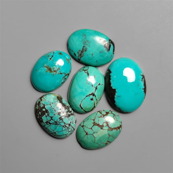 Hubei Turquoise Cabochons Lot