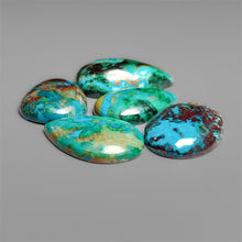 Peruvian Chrysocolla Cabochons Lot