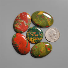 Bloodstone Cabochons Lot