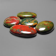 Bloodstone Cabochons Lot