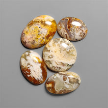 Northridge Plume Agate Cabochons Lot
