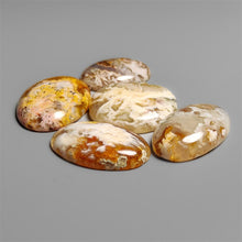 Northridge Plume Agate Cabochons Lot