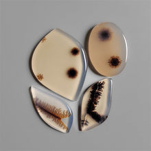 Scenic Dendritic Agates Lot