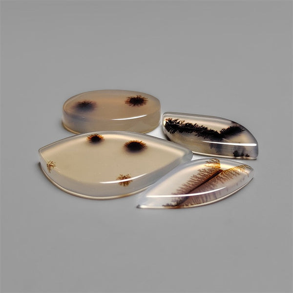 Scenic Dendritic Agates Lot