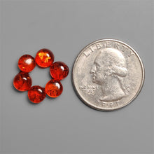 Calibrated Amber Cabochons Lot