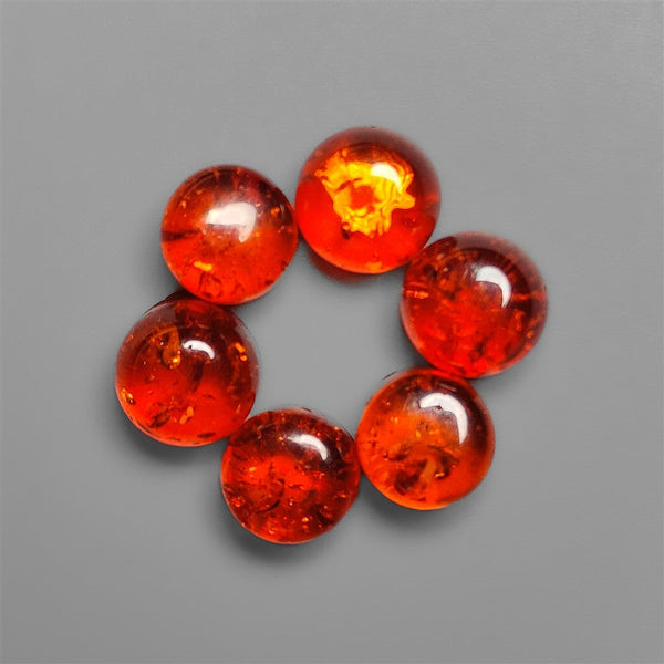 Calibrated Amber Cabochons Lot
