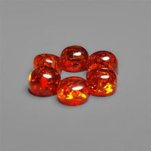 Calibrated Amber Cabochons Lot