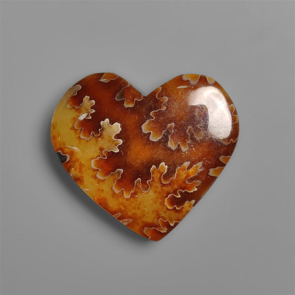 Fossil Suture Ammonite Heart Cabochon